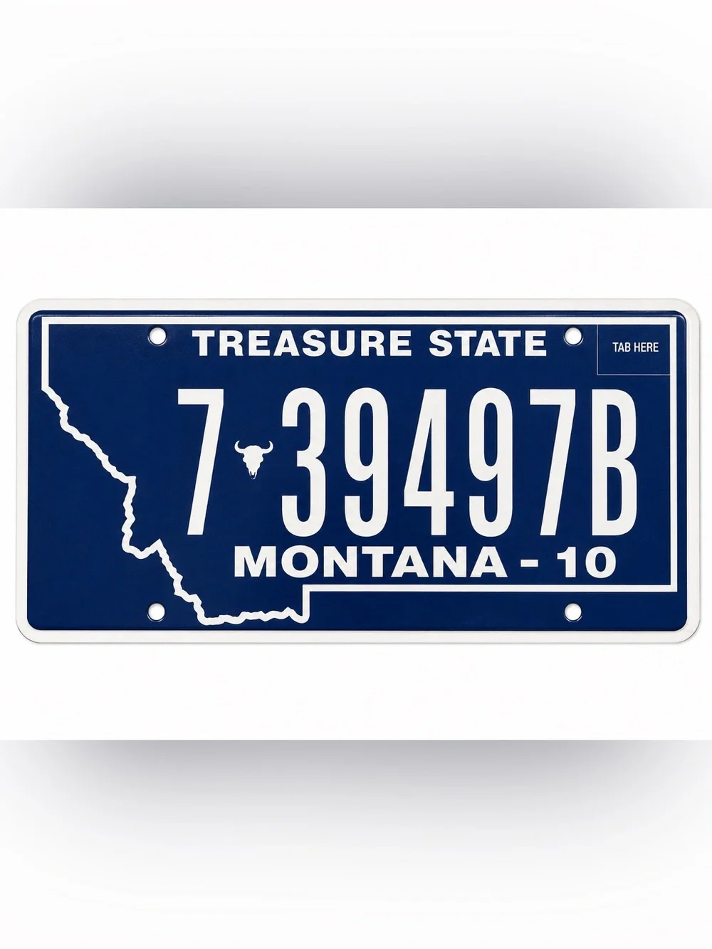 Montana Treasure State License Plate